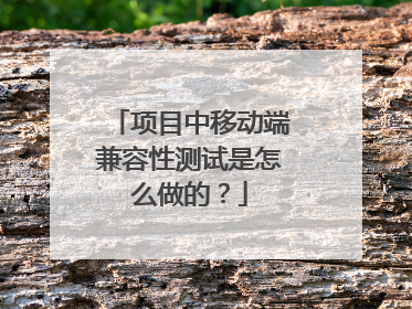 项目中移动端兼容性测试是怎么做的?
