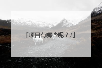 项目有哪些呢？?