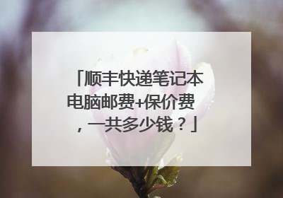 顺丰快递笔记本电脑邮费+保价费,一共多少钱?