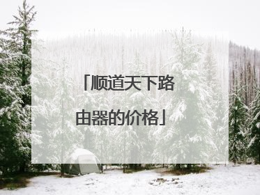 顺道天下路由器的价格