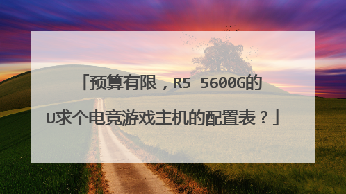 预算有限,R5 5600G的U求个电竞游戏主机的配置表?