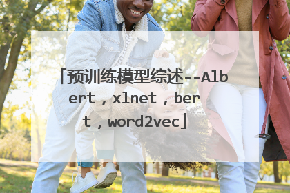 预训练模型综述--Albert，xlnet，bert，word2vec
