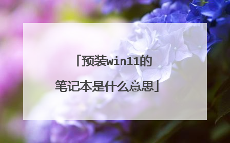 预装win11的笔记本是什么意思
