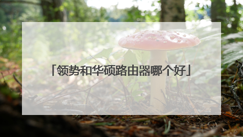 领势和华硕路由器哪个好