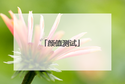 颜值测试