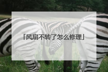 风扇不转了怎么修理