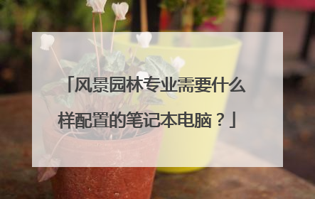 风景园林专业需要什么样配置的笔记本电脑?