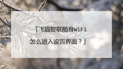 飞猫智联随身WiFi怎么进入设置界面?