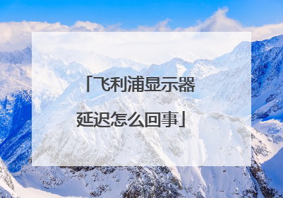 飞利浦显示器延迟怎么回事