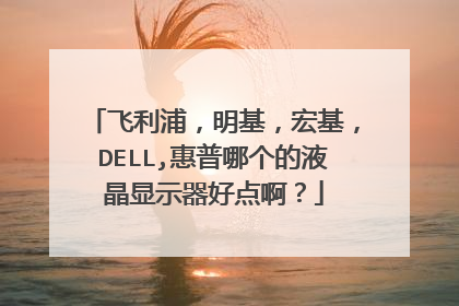 飞利浦,明基,宏基,DELL,惠普哪个的液晶显示器好点啊?
