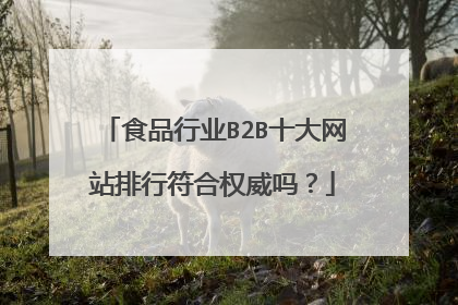 食品行业B2B十大网站排行符合权威吗?