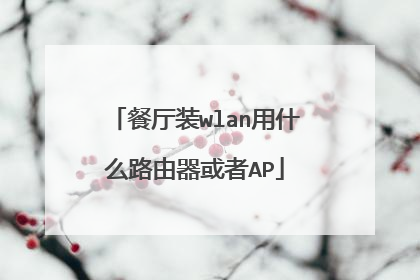 餐厅装wlan用什么路由器或者AP