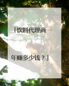 饮料代理商一年赚多少钱?