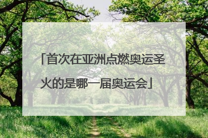 首次在亚洲点燃奥运圣火的是哪一届奥运会