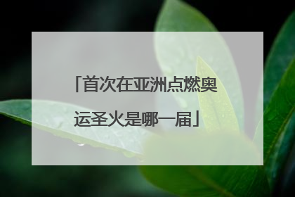 首次在亚洲点燃奥运圣火是哪一届