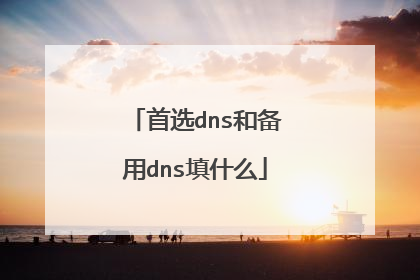 首选dns和备用dns填什么