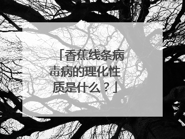 香蕉线条病毒病的理化性质是什么?
