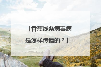 香蕉线条病毒病是怎样传播的?