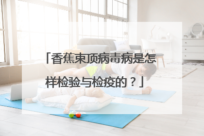 香蕉束顶病毒病是怎样检验与检疫的?