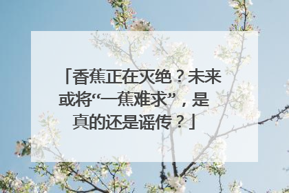 香蕉正在灭绝?未来或将“一蕉难求”,是真的还是谣传?