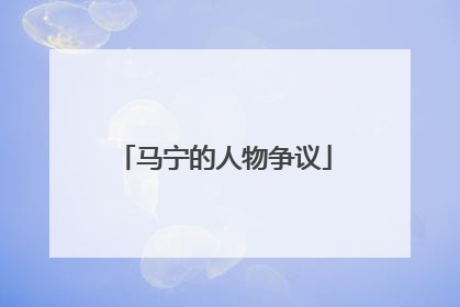 马宁的人物争议