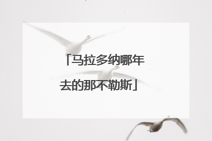 马拉多纳哪年去的那不勒斯