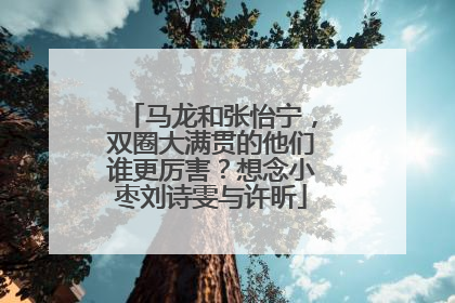 马龙和张怡宁，双圈大满贯的他们谁更厉害？想念小枣刘诗雯与许昕