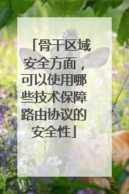 骨干区域安全方面,可以使用哪些技术保障路由协议的安全性