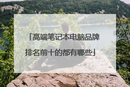 高端笔记本电脑品牌排名前十的都有哪些