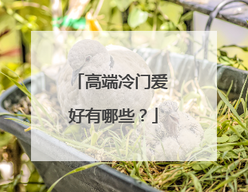 高端冷门爱好有哪些？