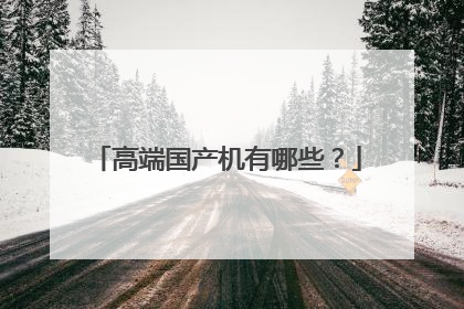 高端国产机有哪些?