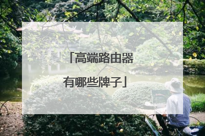 高端路由器有哪些牌子