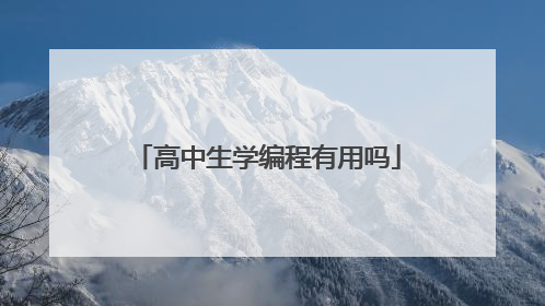 高中生学编程有用吗