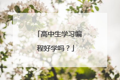 高中生学习编程好学吗？