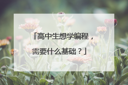 高中生想学编程,需要什么基础?