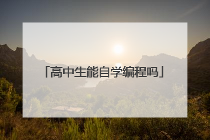 高中生能自学编程吗