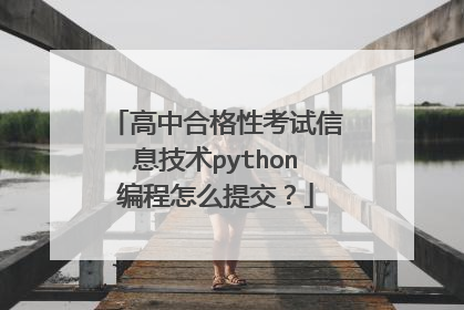 高中合格性考试信息技术python编程怎么提交？