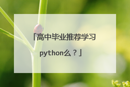 高中毕业推荐学习python么?