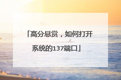 高分悬赏,如何打开系统的137端口