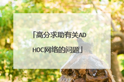 高分求助有关AD HOC网络的问题