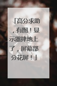 高分求助,有图!显示器摔地上了,屏幕部分花屏!