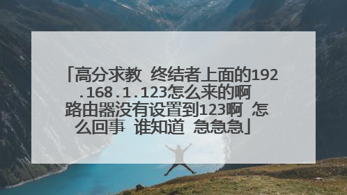 高分求教 终结者上面的192.168.1.123怎么来的啊 路由器没有设置到123啊 怎么回事 谁知道 急急急