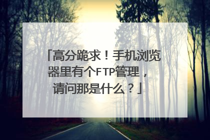 高分跪求！手机浏览器里有个FTP管理，请问那是什么？