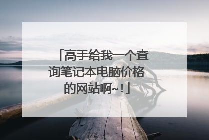 高手给我一个查询笔记本电脑价格的网站啊~!