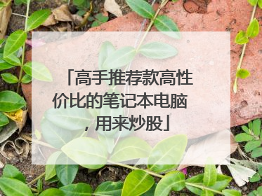 高手推荐款高性价比的笔记本电脑，用来炒股