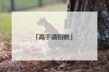 高手请指教