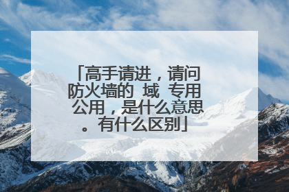 高手请进，请问 防火墙的 域 专用 公用，是什么意思。有什么区别