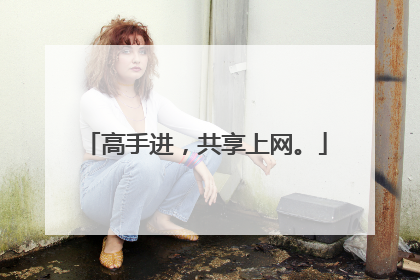 高手进,共享上网。
