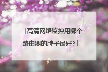 高清网络监控用哪个路由器的牌子最好?