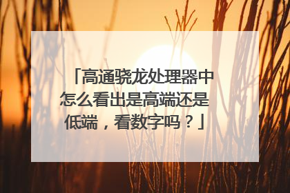 高通骁龙处理器中怎么看出是高端还是低端,看数字吗?